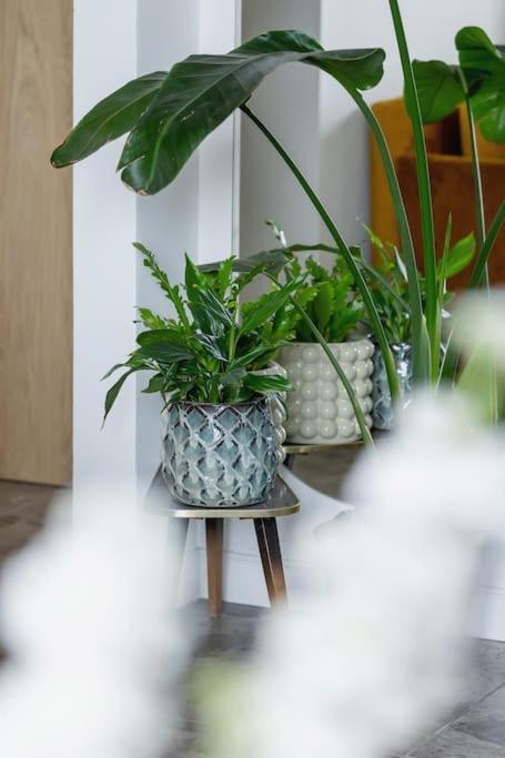 Apartment With Balcony, Private Parking - Bagry Lake - Goszczynskiego 1 Krakow Ngoại thất bức ảnh